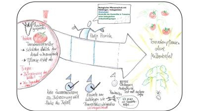 hortisustain online 3 small